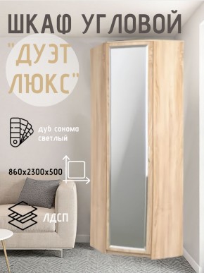 Шкаф угловой Дуэт Люкс с зеркалом в Заречном - zarechnyy.mebel24.online | фото 1