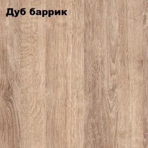 ГРАФ Стеллаж (дуб баррик) в Заречном - zarechnyy.mebel24.online | фото 2