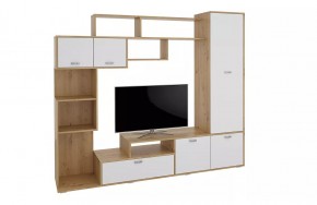 Стенка Диско (СТЛ.150.01) Дуб дикий/Белый в Заречном - zarechnyy.mebel24.online | фото