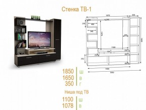 Стенка для гостиной ТВ-1 в Заречном - zarechnyy.mebel24.online | фото 2