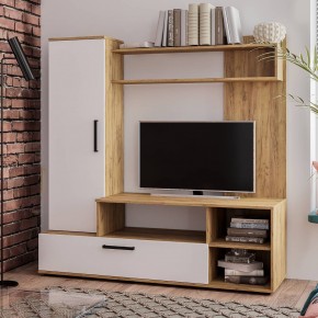 Гостиная Евро 2 (крафт/белый) в Заречном - zarechnyy.mebel24.online | фото