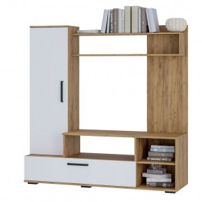 Гостиная Евро 2 (крафт/белый) в Заречном - zarechnyy.mebel24.online | фото 3