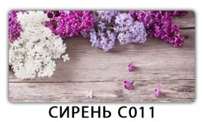 Стол раздвижной Трилогия с фотопечатью Доска D111 в Заречном - zarechnyy.mebel24.online | фото 16