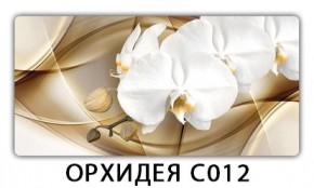Стол раздвижной Трилогия с фотопечатью Доска D112 в Заречном - zarechnyy.mebel24.online | фото 13