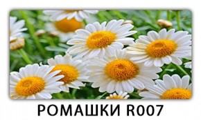 Стол раздвижной Трилогия с фотопечатью Доска D112 в Заречном - zarechnyy.mebel24.online | фото 15