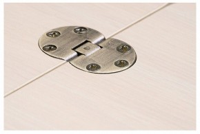 Стол-трансформер Престиж в Заречном - zarechnyy.mebel24.online | фото 10