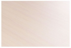 Стол-трансформер Престиж в Заречном - zarechnyy.mebel24.online | фото 8