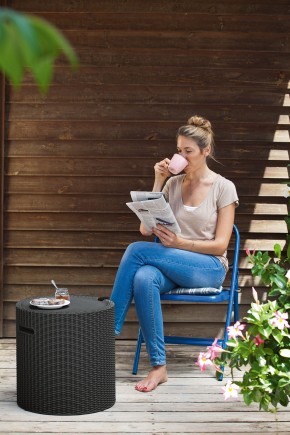 Столик-холодильник Кул-Стул (Cool stool) коричневый в Заречном - zarechnyy.mebel24.online | фото 2
