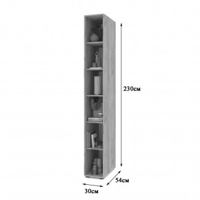 СТОУН С10 Пенал-стеллаж (дуб серый) в Заречном - zarechnyy.mebel24.online | фото 2