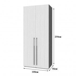 СТОУН С21 Шкаф 2-х створчатый (камень темный/ирландский дуб) в Заречном - zarechnyy.mebel24.online | фото 2