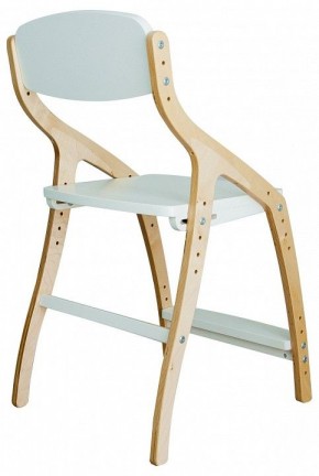 Стул Эверест в Заречном - zarechnyy.mebel24.online | фото 3
