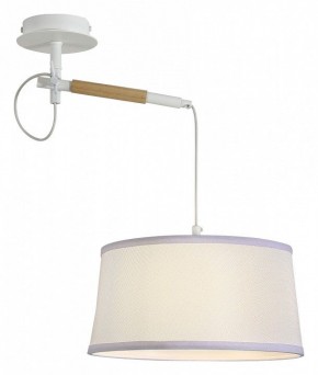 Светильник на штанге F-promo Eureka 3005-1P в Заречном - zarechnyy.mebel24.online | фото 4