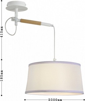 Светильник на штанге F-promo Eureka 3005-1P в Заречном - zarechnyy.mebel24.online | фото 5