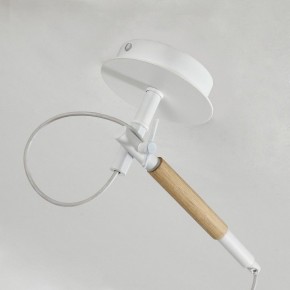Светильник на штанге F-promo Eureka 3005-1P в Заречном - zarechnyy.mebel24.online | фото 8
