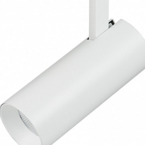 Светильник на штанге Lightstar Fuoco 218226 в Заречном - zarechnyy.mebel24.online | фото 3