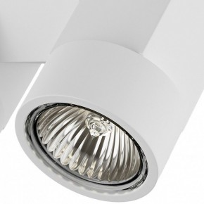 Светильник на штанге Lightstar Illumo X2 051036 в Заречном - zarechnyy.mebel24.online | фото 2