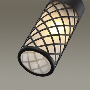 Светильник на штанге Odeon Light Dunes 4834/1W в Заречном - zarechnyy.mebel24.online | фото 5