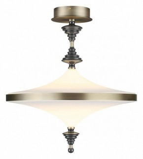 Светильник на штанге Odeon Light Ula 5404/43CL в Заречном - zarechnyy.mebel24.online | фото 2