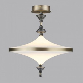 Светильник на штанге Odeon Light Ula 5404/43CL в Заречном - zarechnyy.mebel24.online | фото 3