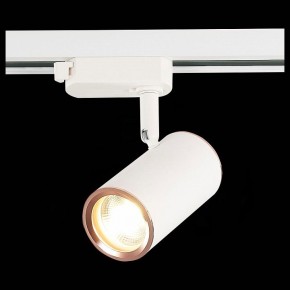 Светильник на штанге ST-Luce Cromi ST301.526.01 в Заречном - zarechnyy.mebel24.online | фото 6