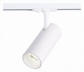 Светильник на штанге ST-Luce Mono ST350.536.20.36 в Заречном - zarechnyy.mebel24.online | фото 2