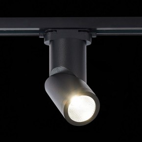 Светильник на штанге ST-Luce ST650 ST650.436.10 в Заречном - zarechnyy.mebel24.online | фото 3