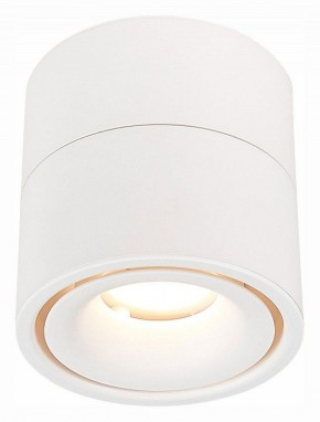 Светильник на штанге ST-Luce ST652 ST652.542.12 в Заречном - zarechnyy.mebel24.online | фото 2