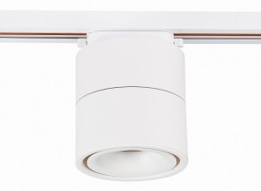 Светильник на штанге ST-Luce ST652 ST652.546.12 в Заречном - zarechnyy.mebel24.online | фото 2