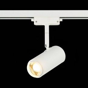 Светильник на штанге ST-Luce Zoom ST600.536.12 в Заречном - zarechnyy.mebel24.online | фото 4