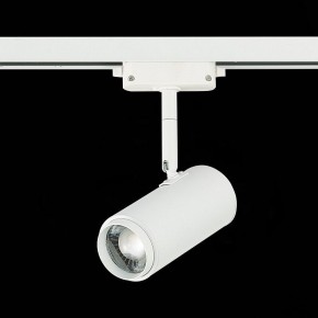Светильник на штанге ST-Luce Zoom ST600.546.12 в Заречном - zarechnyy.mebel24.online | фото 5