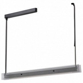 Светильник на штанге Wertmark Kuno WE435.12.023 в Заречном - zarechnyy.mebel24.online | фото