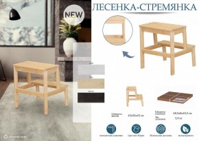 Табурет Стремянка в Заречном - zarechnyy.mebel24.online | фото 4