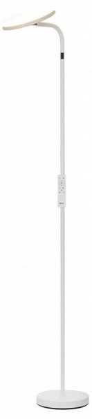Торшер Citilux SOLO CL804060 в Заречном - zarechnyy.mebel24.online | фото