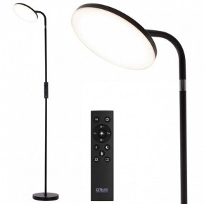 Торшер Citilux SOLO CL804061 в Заречном - zarechnyy.mebel24.online | фото 2