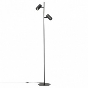 Торшер Citilux Twin CL809011N в Заречном - zarechnyy.mebel24.online | фото