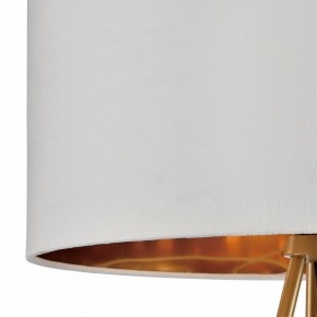 Торшер Lumion Tapioka 8077/1F в Заречном - zarechnyy.mebel24.online | фото 6