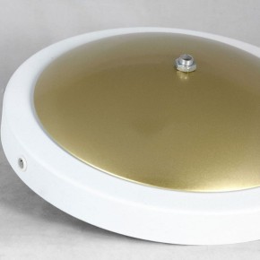 Торшер Lussole LSP-062 LSP-0625 в Заречном - zarechnyy.mebel24.online | фото 2