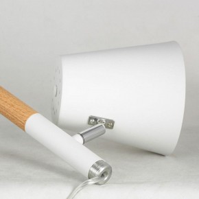 Торшер Lussole Buckeye LSP-0628 в Заречном - zarechnyy.mebel24.online | фото 4