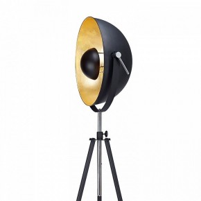 Торшер Lussole Sherrelwood LSP-9824 в Заречном - zarechnyy.mebel24.online | фото 2