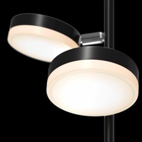 Торшер Maytoni Fad MOD070FL-L12B3K в Заречном - zarechnyy.mebel24.online | фото