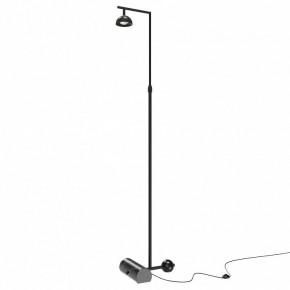 Торшер Maytoni Pikant MOD372FL-L10B3K в Заречном - zarechnyy.mebel24.online | фото