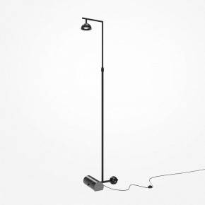 Торшер Maytoni Pikant MOD372FL-L10B3K в Заречном - zarechnyy.mebel24.online | фото 2