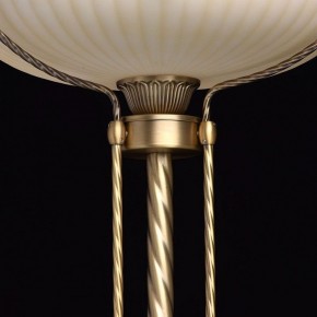 Торшер MW-Light Афродита 1 317040901 в Заречном - zarechnyy.mebel24.online | фото 6