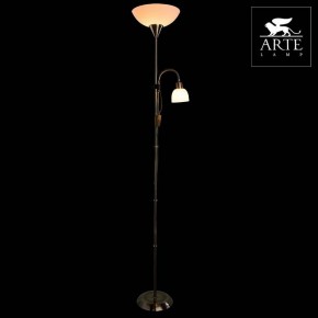 Торшер с подсветкой Arte Lamp Duetto A9569PN-2AB в Заречном - zarechnyy.mebel24.online | фото 3