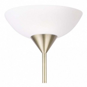 Торшер с подсветкой Arte Lamp Duetto A9569PN-2AB в Заречном - zarechnyy.mebel24.online | фото 5