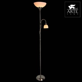 Торшер с подсветкой Arte Lamp Duetto A9569PN-2SS в Заречном - zarechnyy.mebel24.online | фото 3