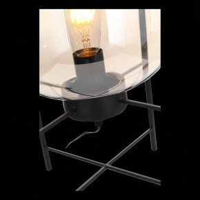Торшер ST-Luce Burasca SL1050.505.01 в Заречном - zarechnyy.mebel24.online | фото 9