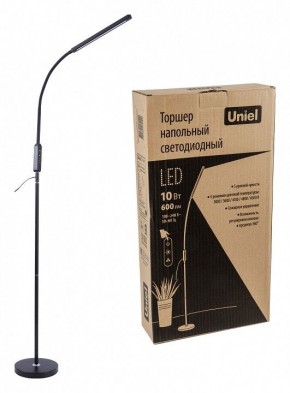 Торшер Uniel ULM-T619 UL-00010178 в Заречном - zarechnyy.mebel24.online | фото 4