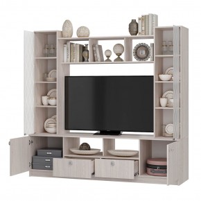 Центральная секция Зарина ЦС-01 (ясень белый) в Заречном - zarechnyy.mebel24.online | фото 2