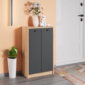 Тумба для обуви Рино в Заречном - zarechnyy.mebel24.online | фото 3